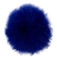 Blue Pom